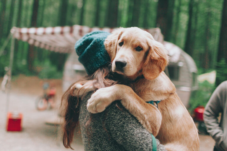 Teens tend to ditch Facebook over Instagram